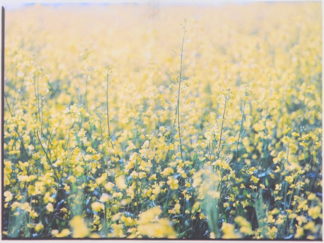 Photography- Paul James Hay