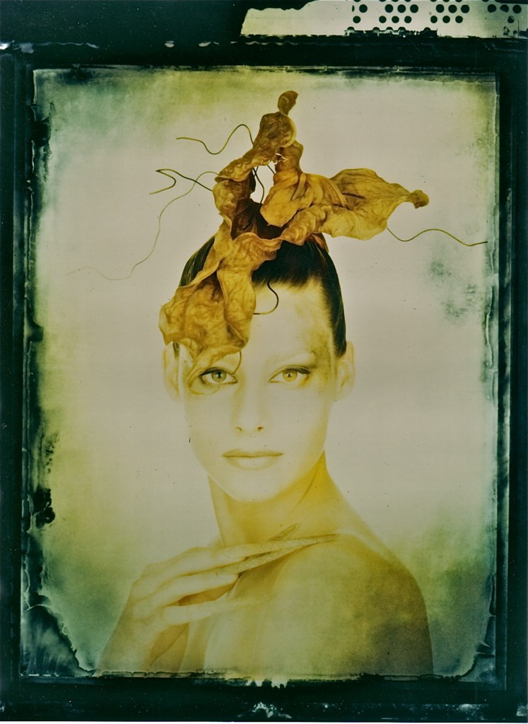 Model: Jocette Coote Photographer: Hiroshi Nonami Makeup: Yurika Uchida